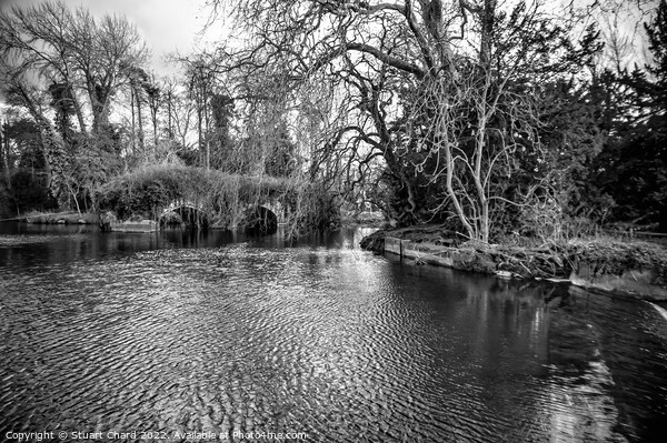 River Avon Warwickshire Picture Board by Stuart Chard