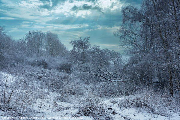 Snow landscape - english countryside in winter Picture Board by Travel and Pixels 