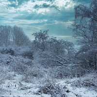 Buy canvas prints of Snow landscape - english countryside in winter by Stuart Chard