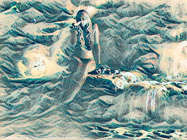 Mermaid on the rocks Picture Board by Travel and Pixels 