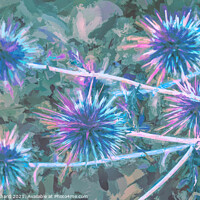 Buy canvas prints of Milk Thistle abstract artwork by Stuart Chard