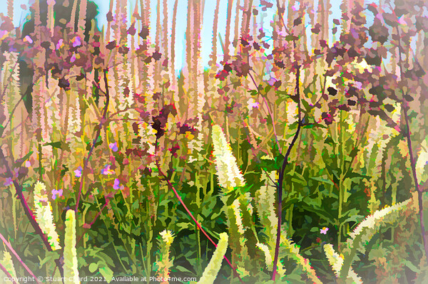 woodland flowers artwork Picture Board by Travel and Pixels 