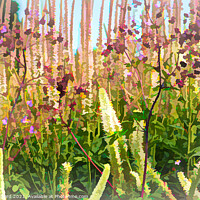Buy canvas prints of woodland flowers artwork by Stuart Chard