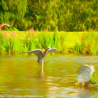 Buy canvas prints of Ducks on the water by Stuart Chard