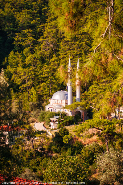 Mosque in the hillside in Turkey Picture Board by Travel and Pixels 