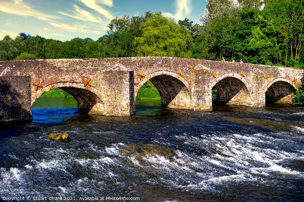 Bickleigh Bridge on the River Exe  Picture Board by Stuart Chard
