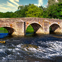 Buy canvas prints of Bickleigh Bridge on the River Exe  by Stuart Chard
