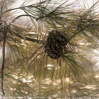 Buy canvas prints of Pine cones and branches artwork by Stuart Chard
