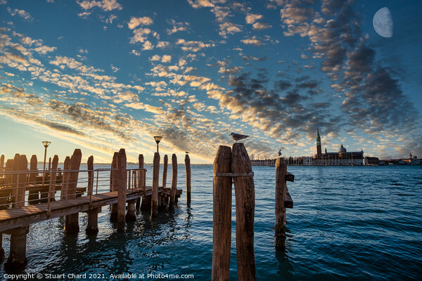 Venice bay at sunset   Picture Board by Travel and Pixels 