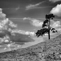 Buy canvas prints of Lone tree on a hill by Stuart Chard