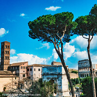 Buy canvas prints of View of the Forum and Colosseum in Rome,Italy by Stuart Chard