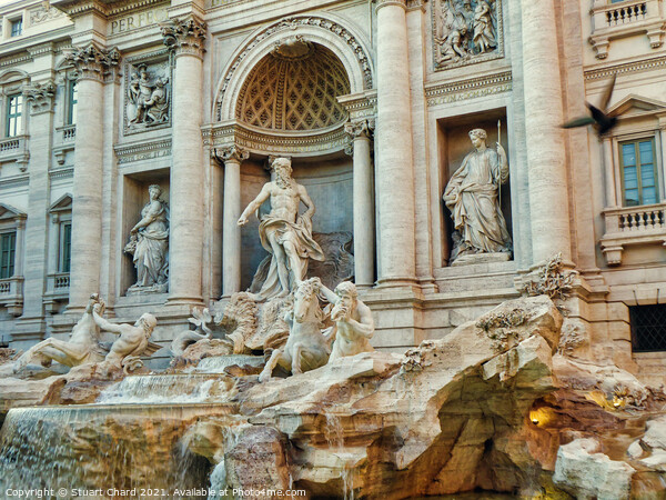 Trevi Fountain in Rome Picture Board by Stuart Chard