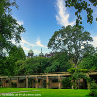 Buy canvas prints of The Valley Gardens park in Harrogate -panorama by Stuart Chard