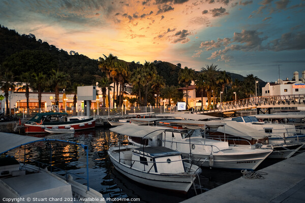 Fishing and sailing boats in the marina at sunset Picture Board by Stuart Chard