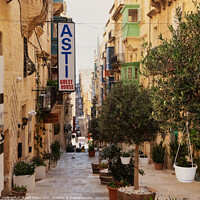 Buy canvas prints of Valetta Street  Malta by Stuart Chard