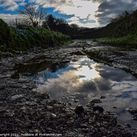 Buy canvas prints of Reflection off of a puddle at Carn Marth by Sam Plowright