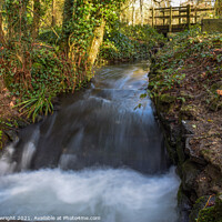 Buy canvas prints of Waterfall flowing under a bridge at Tehidy woods by Sam Plowright