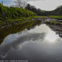 Buy canvas prints of Reflection off a puddle on a calm winters day by Sam Plowright