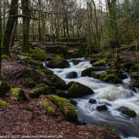 Buy canvas prints of Water flow at Kennall Vale by Sam Plowright