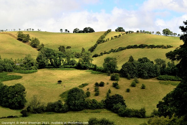 English countryside near Newcastle on Clun, Shrops Picture Board by Peter Wiseman