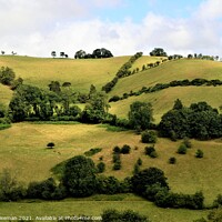 Buy canvas prints of English countryside near Newcastle on Clun, Shrops by Peter Wiseman