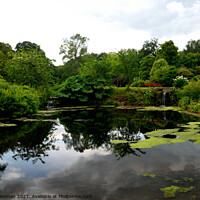 Buy canvas prints of Pool in the gardens at Hodnet Hall, Hodnet, Shrops by Peter Wiseman