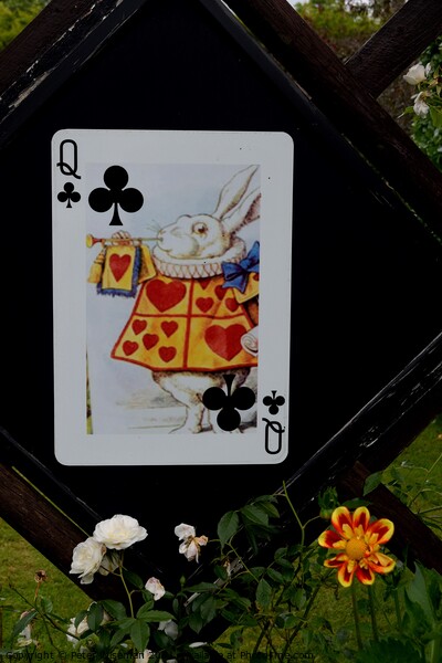 Large ornamental playing  card on fence panel Picture Board by Peter Wiseman