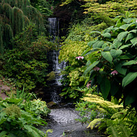 Buy canvas prints of Waterfall at the Dorothy Clive Garden near Woore by Peter Wiseman