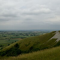 Buy canvas prints of The Westbury white horse by Peter Wiseman