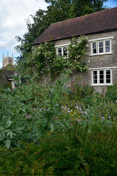 Cottage garden in Mells in Somerset Picture Board by Peter Wiseman