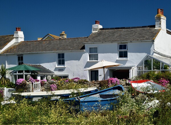 Cottages near Porthcressa, Hugh Town, St. Mary's, Isles of Scilly. Picture Board by Peter Wiseman
