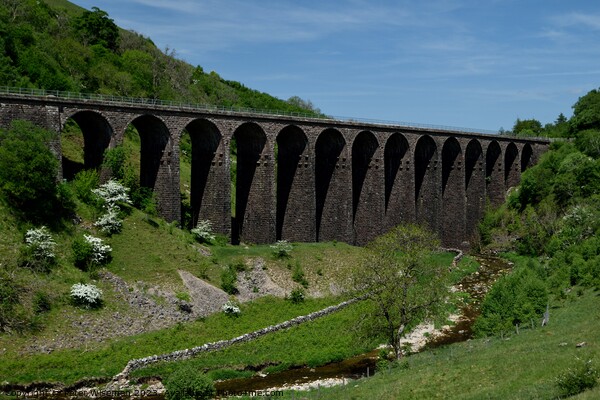 Smardale Gill Viaduct crossing Scandale Beck, Smar Picture Board by Peter Wiseman