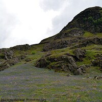 Buy canvas prints of Bluebells in Rannerdale Valley on the slope of Ran by Peter Wiseman