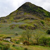 Buy canvas prints of Bluebells on slope of Rannerdale Knotts in the Lak by Peter Wiseman