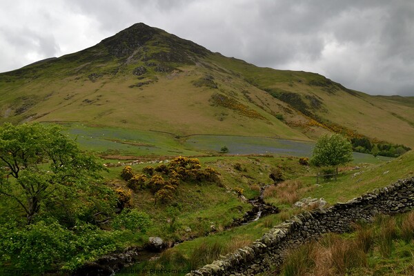 View over the beck in Rannerdale Valley towards Wh Picture Board by Peter Wiseman