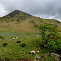 Buy canvas prints of View over the beck in Rannerdale Valley towards Wh by Peter Wiseman