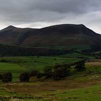 Buy canvas prints of View from Low Rigg near Keswick towards Skiddaw and Great Calva by Peter Wiseman