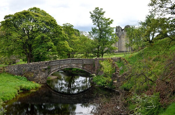 Packhorse bridge at Shap Abbey Picture Board by Peter Wiseman