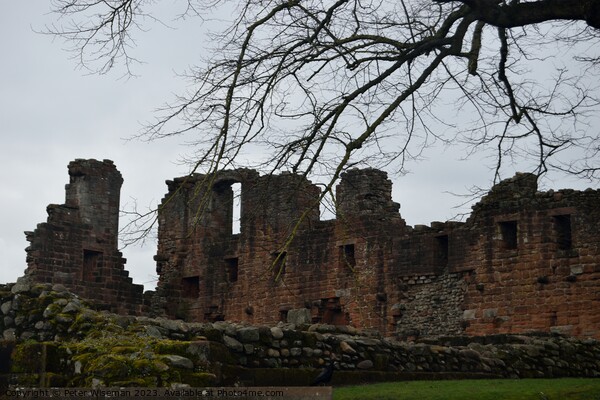 Penrith Castle Picture Board by Peter Wiseman