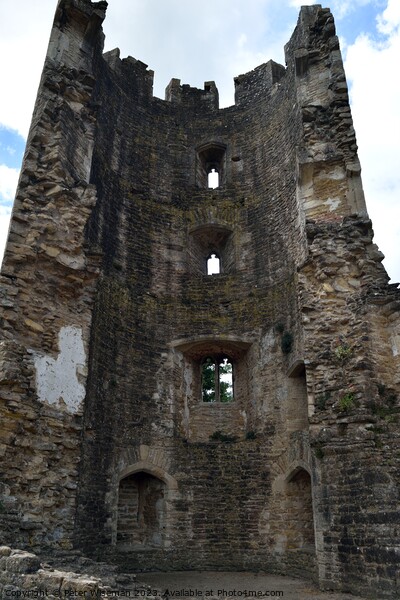 The  Lady Tower at Farleigh Hungerford Castle Picture Board by Peter Wiseman