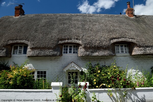  A thatched cottage  in Avebury Picture Board by Peter Wiseman