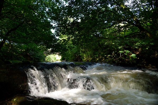 The river Cold Beck at Caldbeck, Cumbria. Picture Board by Peter Wiseman