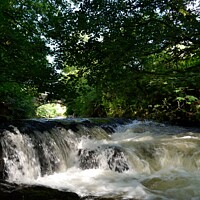 Buy canvas prints of The river Cold Beck at Caldbeck, Cumbria. by Peter Wiseman