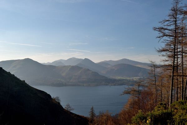 Derwent Water, The Lake District Picture Board by Peter Wiseman