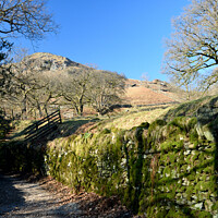 Buy canvas prints of The Coffin Road from Grasmere to Rydal Water by Peter Wiseman
