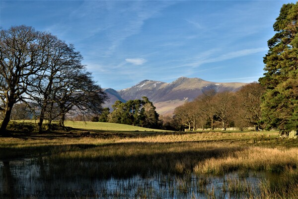 View of mountains from walk around Derwent Water,  Picture Board by Peter Wiseman