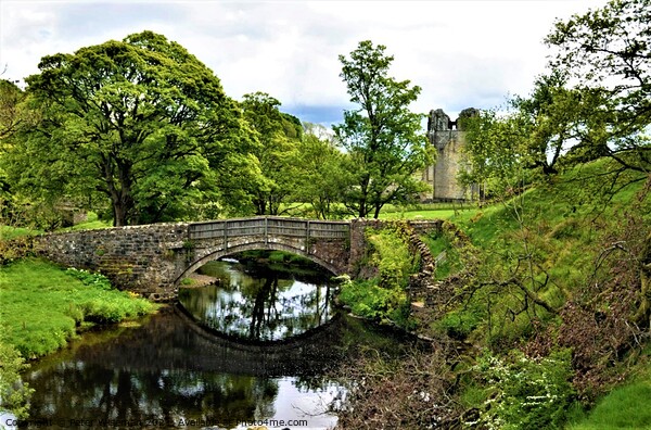 Abbey Bridge  over the River Lowther at Shap Abbey Picture Board by Peter Wiseman