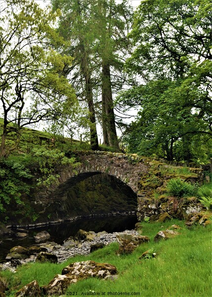 Old packhorse bridge on the River Lowther Picture Board by Peter Wiseman