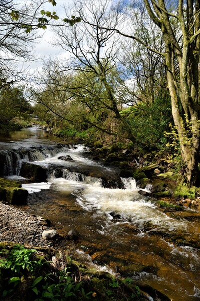 The River at Caldbeck, the Lake District, Cumbria Picture Board by Peter Wiseman