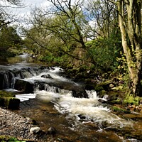 Buy canvas prints of The River at Caldbeck, the Lake District, Cumbria by Peter Wiseman